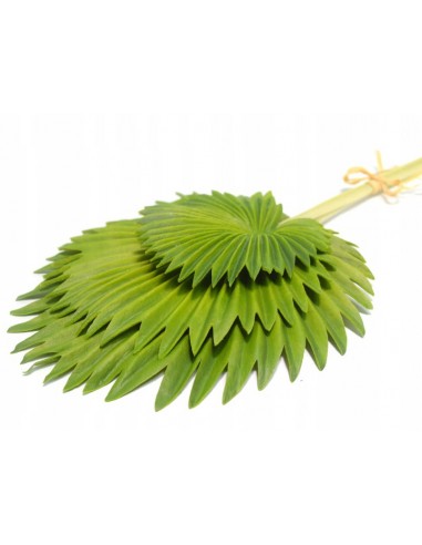 Sztuczna roślina liść palmy zielony 70 cm