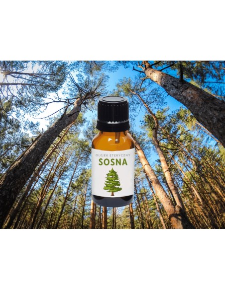 Olejek eteryczny naturalny do aromaterapii SOSNA