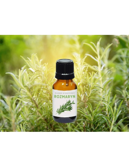 Olejek eteryczny naturalny do aromaterapii ROZMARYN