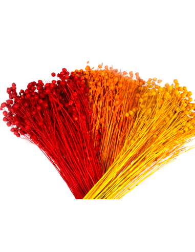 Suszony len czerwony naturalny susz...