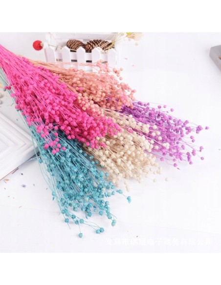 Suszony len naturalny susz ozdobny