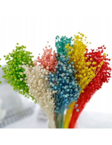 Suszony len niebieski naturalny susz...