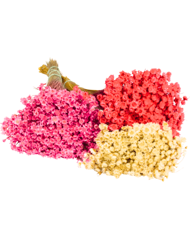 Glixia gliksja biała naturalna...