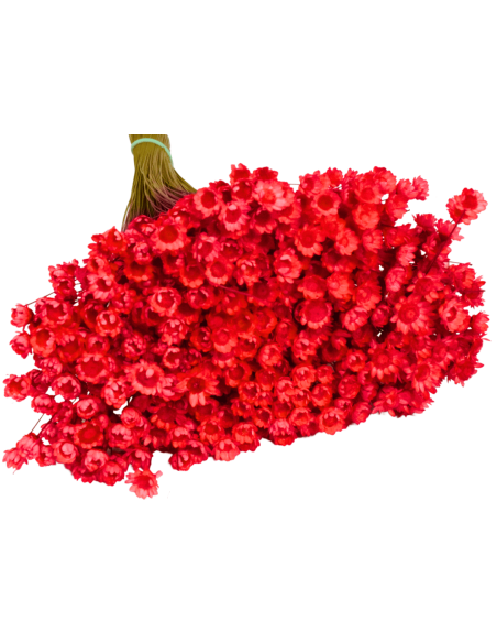 Glixia gliksja czerwona naturalna suszone kwiaty suszki