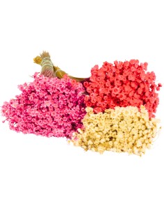 Glixia gliksja naturalna...