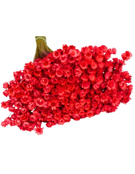 Glixia gliksja naturalna suszone kwiaty suszki - bukiet