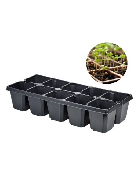 Wielodoniczka paleta do rozsadów 30 x 15 cm 10 komór