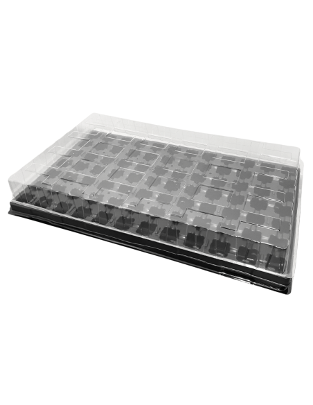 Miniszklarenka wielodoniczka z tacą i pokrywką paleta rozsadowa 52 x 30 cm 84 komory