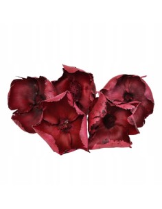 Palm cup czerwony susz...