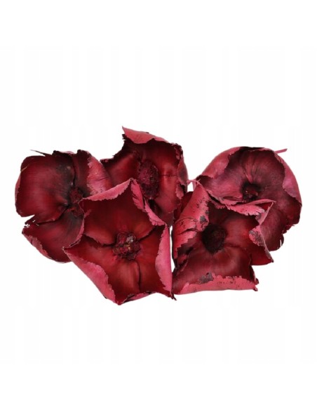 Palm cup czerwony susz egzotyczny 5 szt