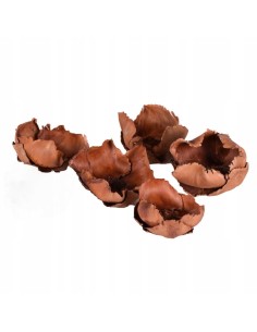 Palm cup brązowy naturalny...