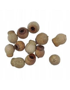 Eukaliptus główki naturalny... 2