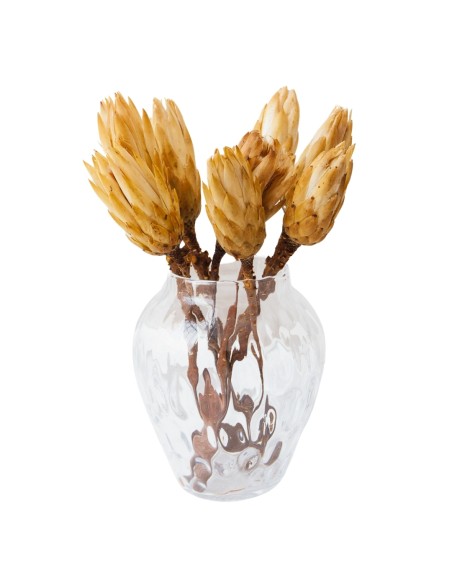 Kwiat protea jasna naturalna susz egzotyczny