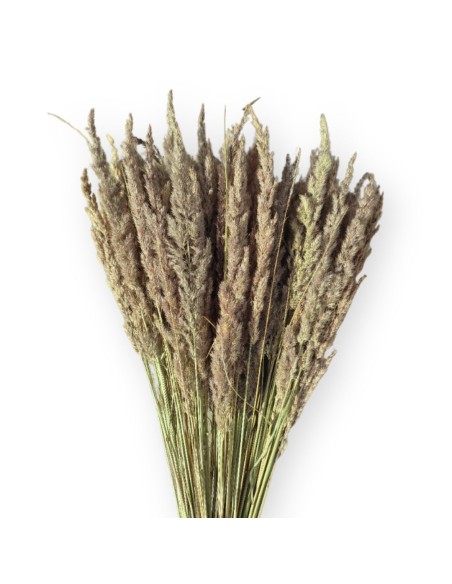 Trawa leśna suszona naturalna susz ozdobny dekoracyjny wiązka