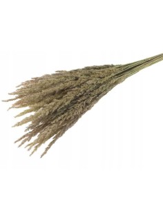 Trawa leśna suszona... 2