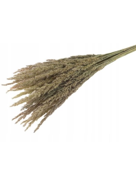 Trawa leśna suszona naturalna susz ozdobny dekoracyjny wiązka