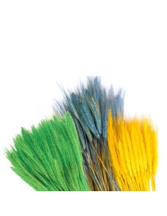 Pszenżyto ciemnozielone... 2