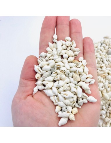 Muszelki naturalne białe dekoracyjne...