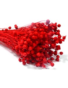 Suszony len naturalny susz... 2