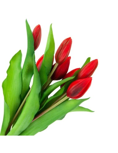 Bukiet czerwonych tulipanów gumowych