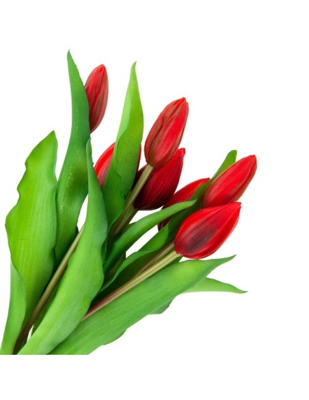 Bukiet czerwonych tulipanów gumowych