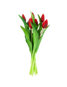 Bukiet czerwonych tulipanów... 2