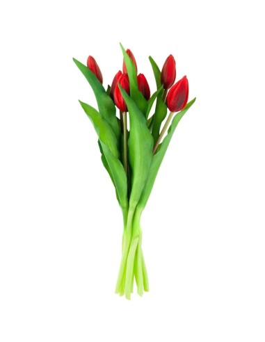 Bukiet czerwonych tulipanów gumowych