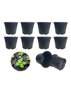 Doniczka produkcyjna na...