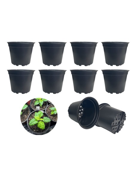Doniczka produkcyjna na rozsady kwadratowa 12 cm 600 ml czarna - zestaw 10 szt.