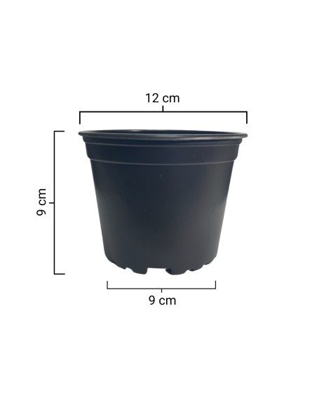 Doniczka produkcyjna na rozsady kwadratowa 12 cm 600 ml czarna - zestaw 10 szt.