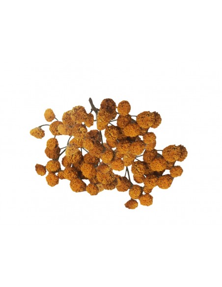 Suszony kwiat wrotyczu susz do świec