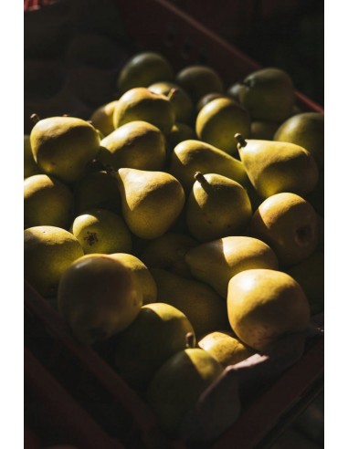 Zapach do świec - Gruszka