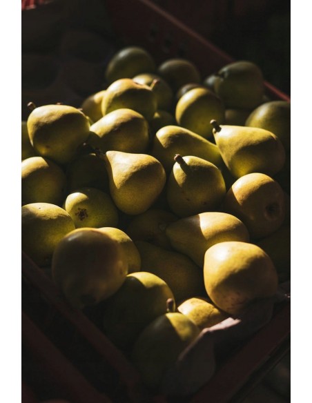 Zapach do świec - Gruszka