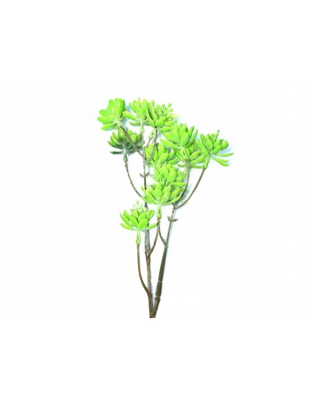 Sukulent sztuczna roślina grubosz drzewiasty A2