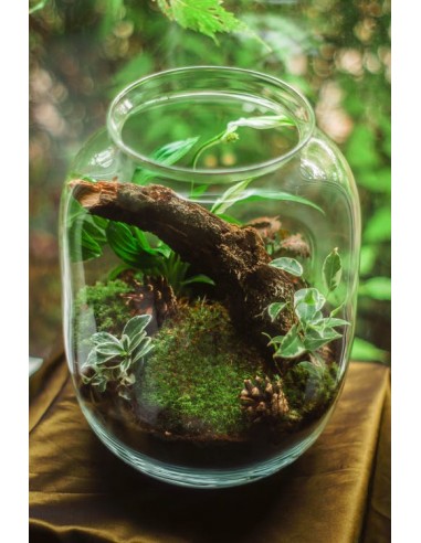 Sukulent sztuczna roślina grubosz...