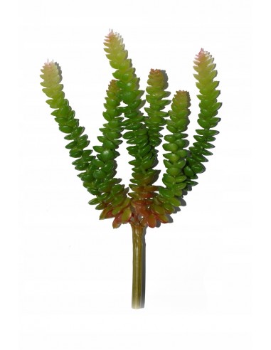 Sukulent sztuczna roślina Rozchodnik Morgana E1