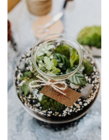 Sukulent sztuczna roślina Rozchodnik Morgana E1