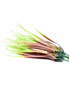 Sukulent sztuczna roślina...