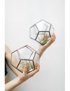 Sukulent sztuczna roślina 8x13 2