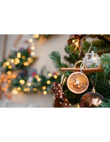 Plastry suszonej limonki 5 szt.