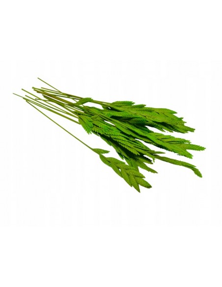 Susz rodzimy zielony do zawieszek sojowych świec