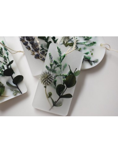 Susz rodzimy zielony do zawieszek...