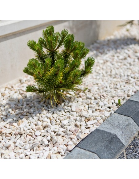 Kamienie otoczak dolomitowy biały 10-20mm 