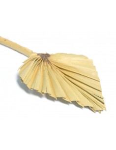 Susz roślinny ozdobny...