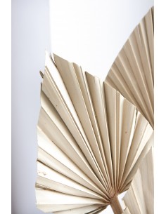 Susz roślinny ozdobny... 2