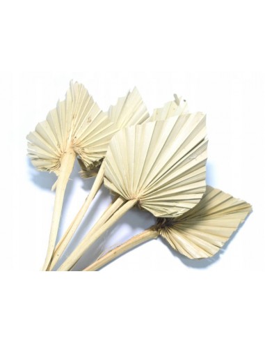 Susz roślinny ozdobny naturalny...