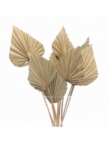 Susz roślinny ozdobny naturalny...