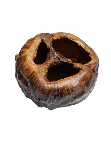 Suszony  naturalny talami