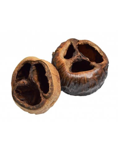 Suszony  naturalny talami