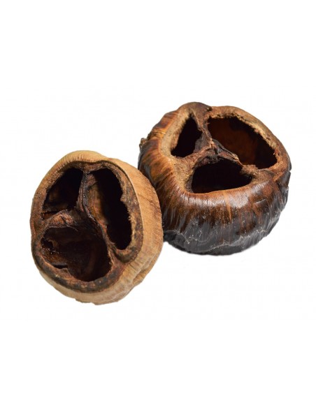 Suszony  naturalny talami